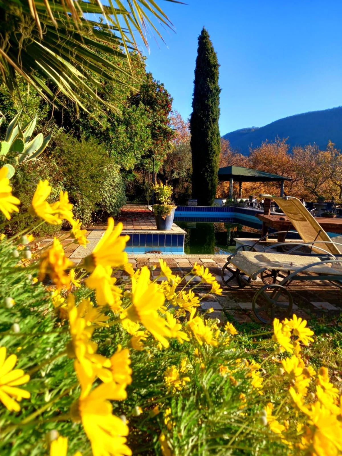 Bed and Breakfast La Chiesuola Bagnaia  Exteriér fotografie