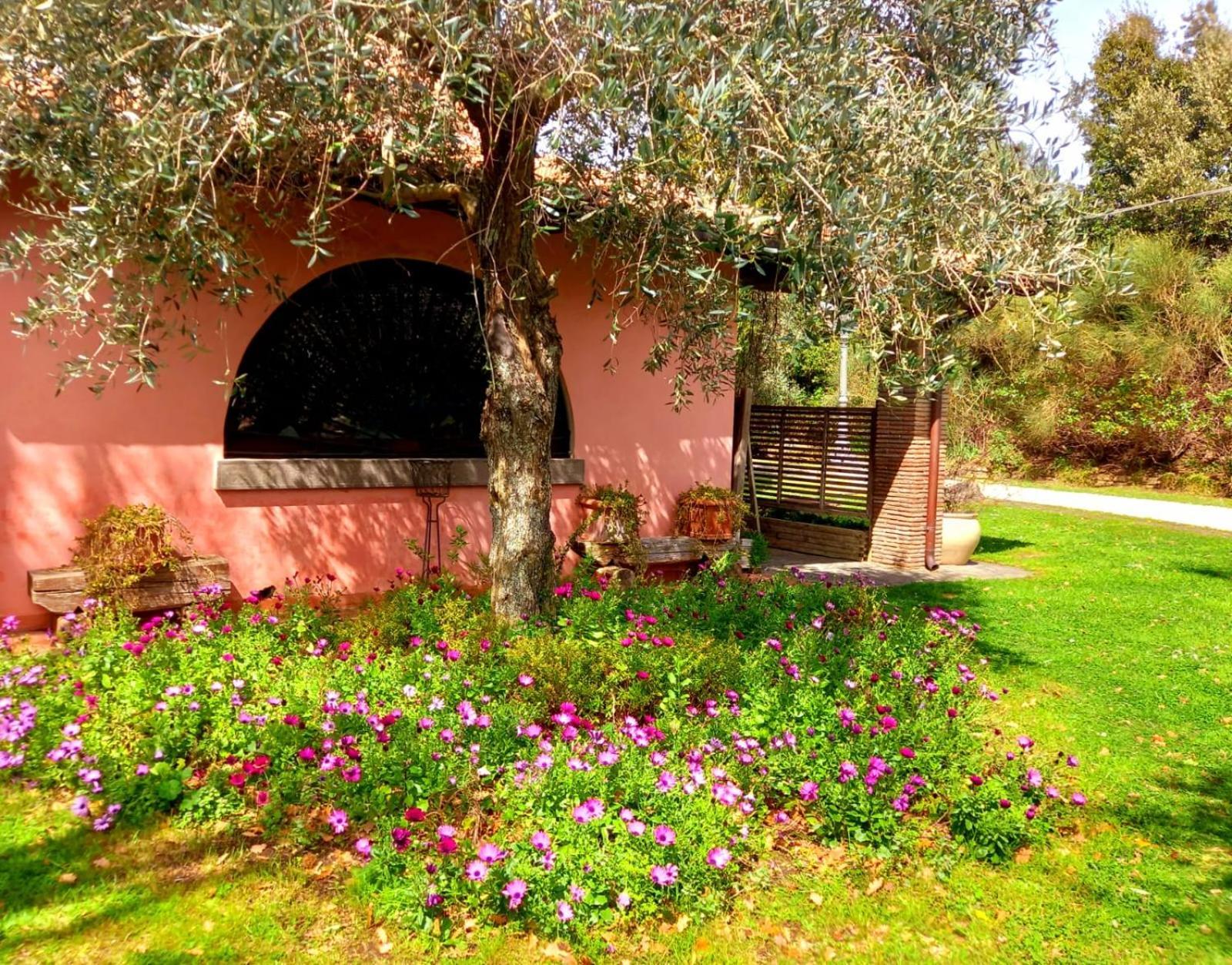 Bed and Breakfast La Chiesuola Bagnaia  Exteriér fotografie