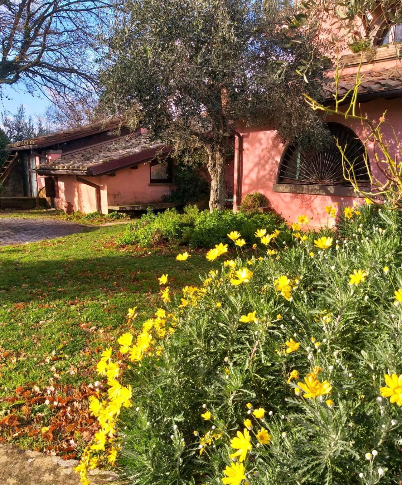 Bed and Breakfast La Chiesuola Bagnaia  Exteriér fotografie