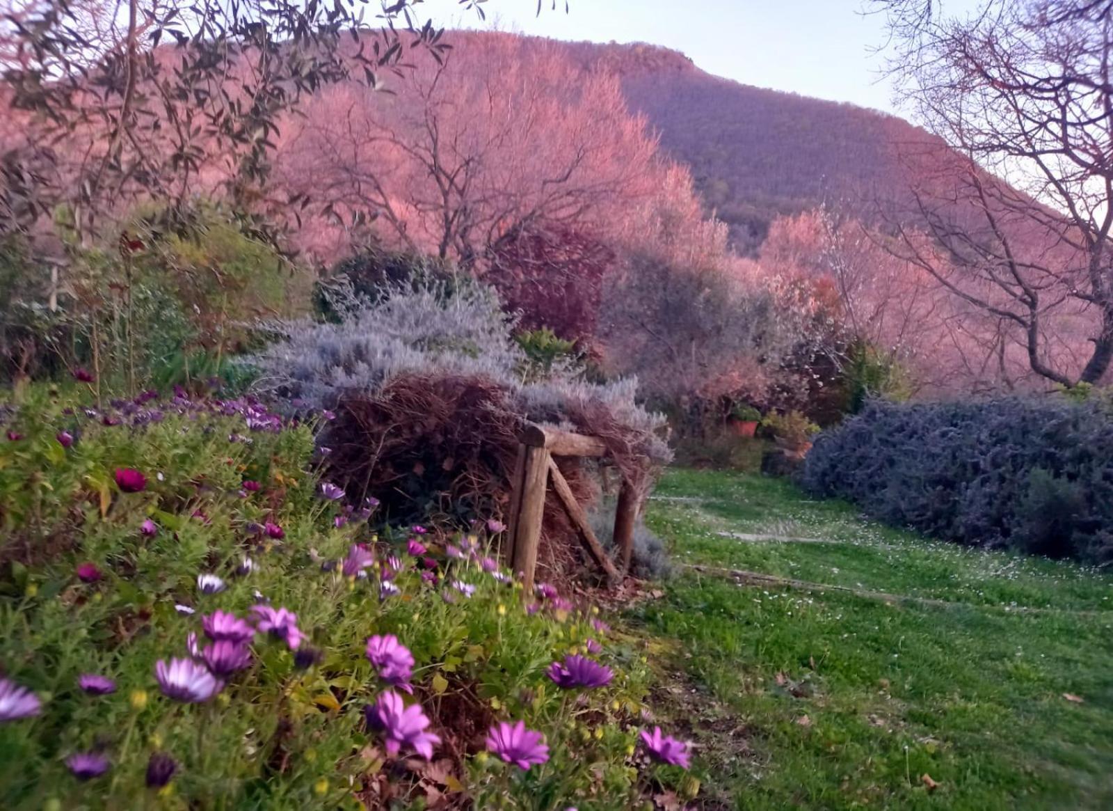 Bed and Breakfast La Chiesuola Bagnaia  Exteriér fotografie
